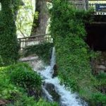 images 1